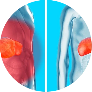 Poor liver and kidney function