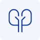 Urinary System