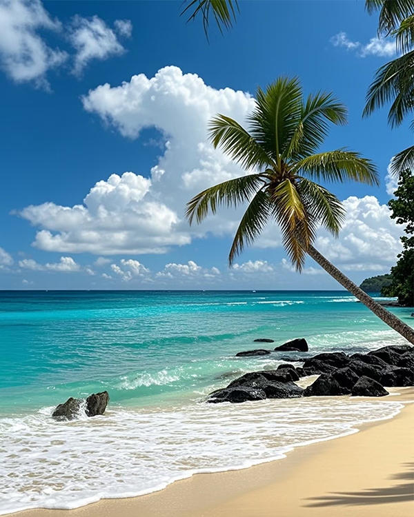 Sanya