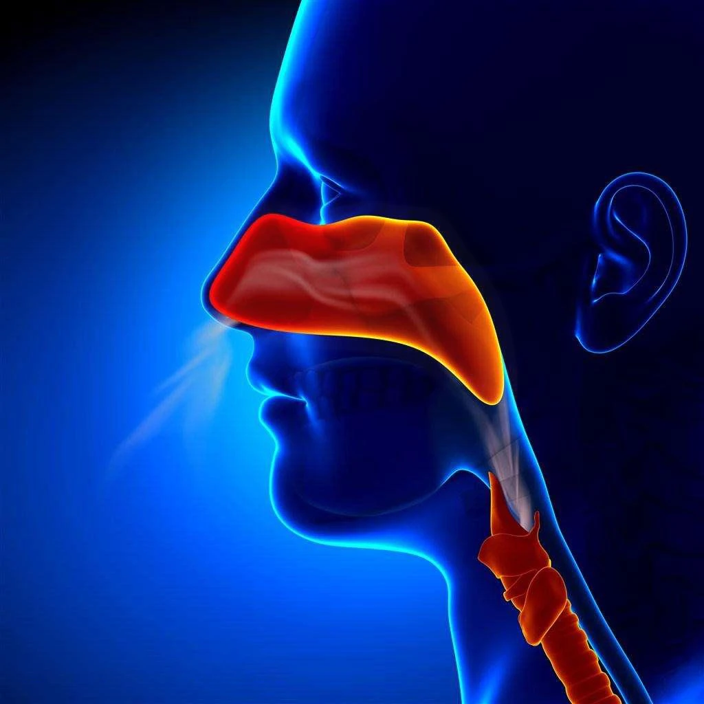 Nasopharyngeal carcinoma
