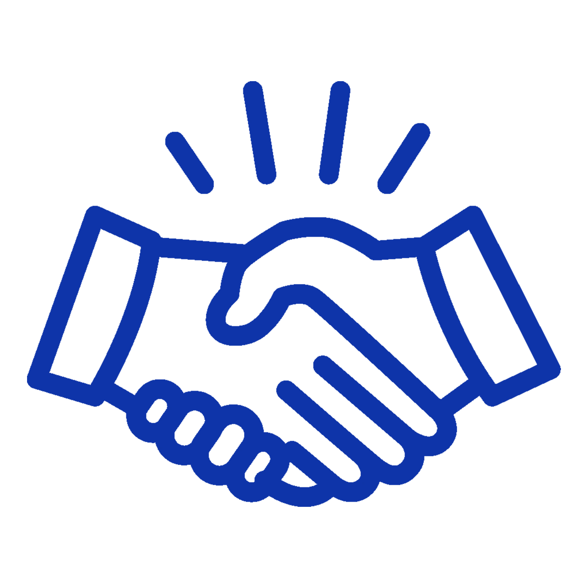 International Patient Support